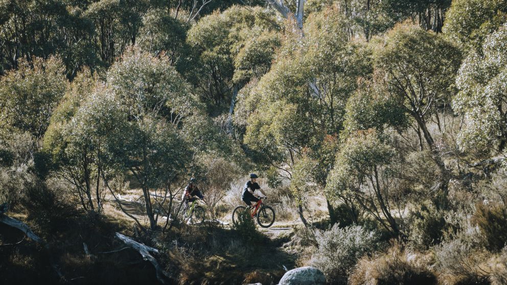 Mountain Biking in the Kosciuszko National Park